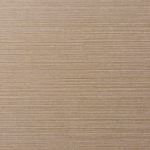 Coral Sand