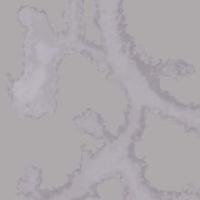 Estuary