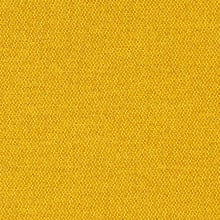 Maize
