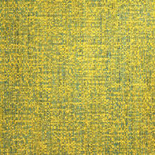 Yellow Finch