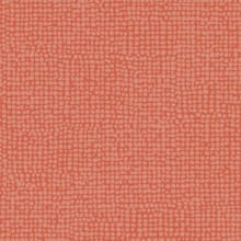 Guava
