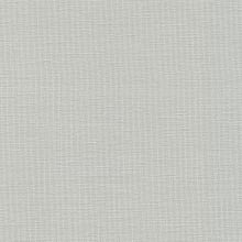Whitewash