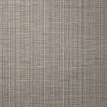 Taupe Tempo
