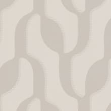 Cowrie Shell