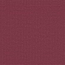 Cerise