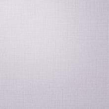 White Violet