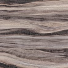Breccia