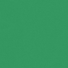 Clover