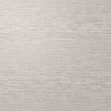 Silvery Mist