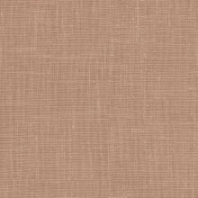 Coral Blush