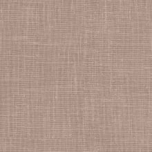 Pink Plum