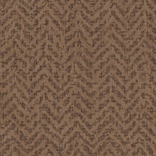Acorn
