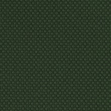 Pine