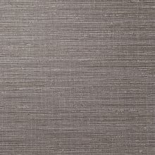 Pewter Pitch