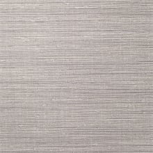 Taupe Tempo