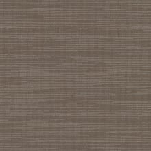 Flint Gray