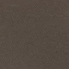 Cocoa