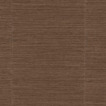 Robusta