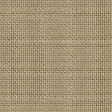 Grain