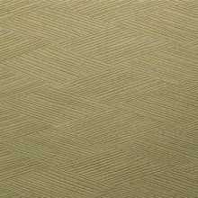 Palm