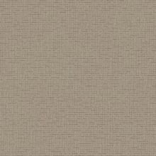 Parchment