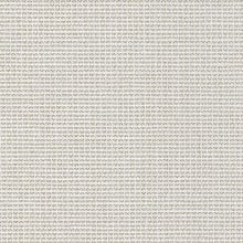 Clean Canvas