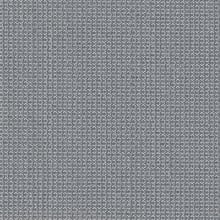 Mythical Grey