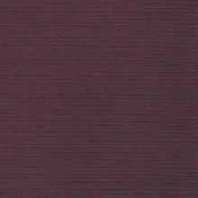 Aubergine