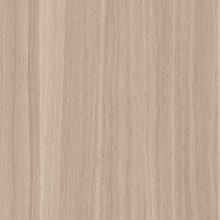 Eucalyptus