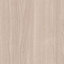 Mountain Hemlock