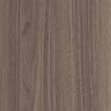 Queensland Walnut