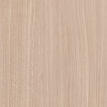 Red Alder