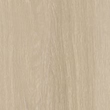 Silver Maple