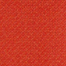 27 Poppy