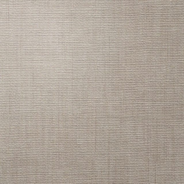 Astoria Paper Birch Momentum Textiles and Wallcovering