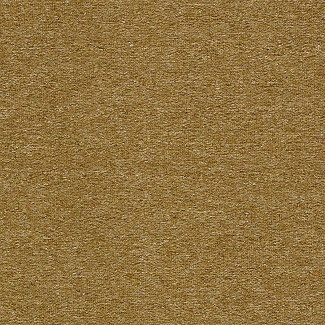 Camel Felt Camel Felt