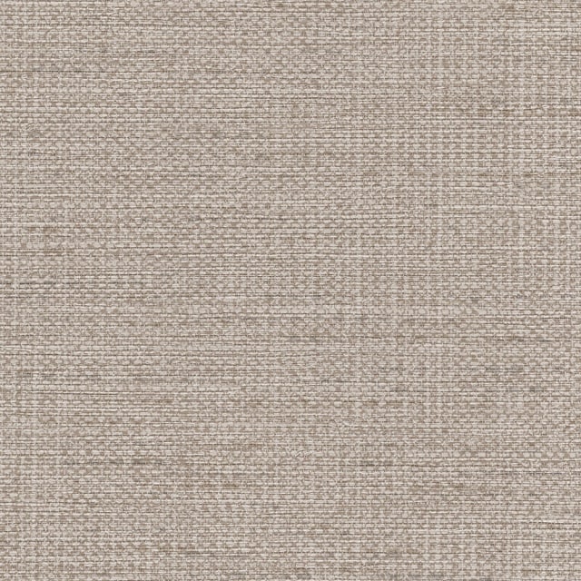 In the Loop - Input - Momentum Textiles and Wallcovering
