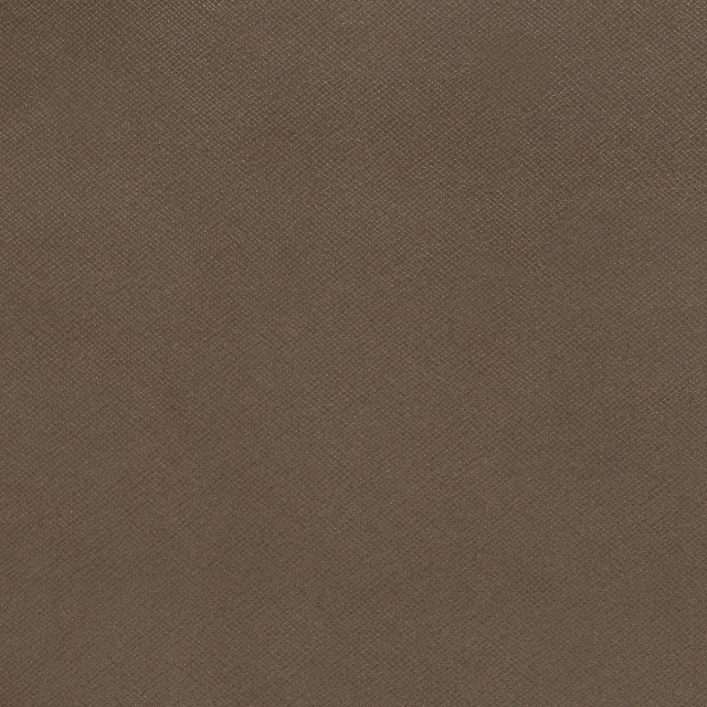 リエコ ★茶色★ Nifty - Fossil - Momentum Textiles and Wallcovering