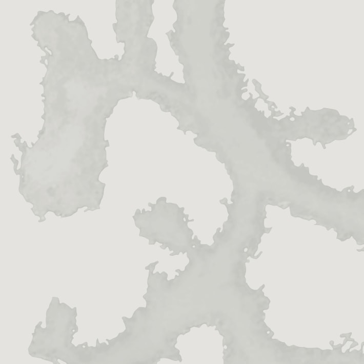 Fractal River - White Sand - Momentum Textiles and Wallcovering