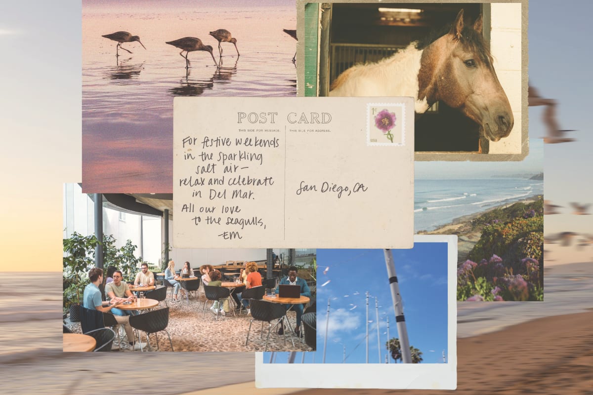 Moodboard inspired by Del Mar town and textile
