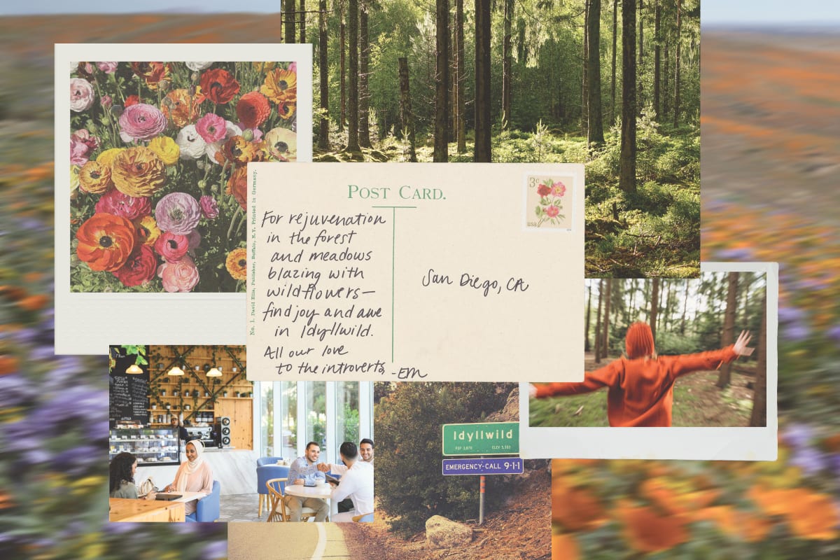 Moodboard inspired by Idyllwild town and textile