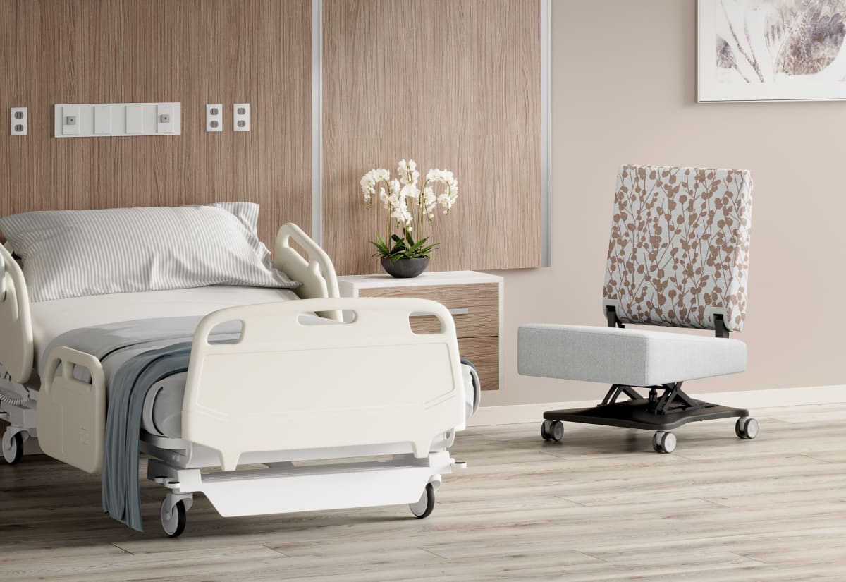 Organic color trends for the office
