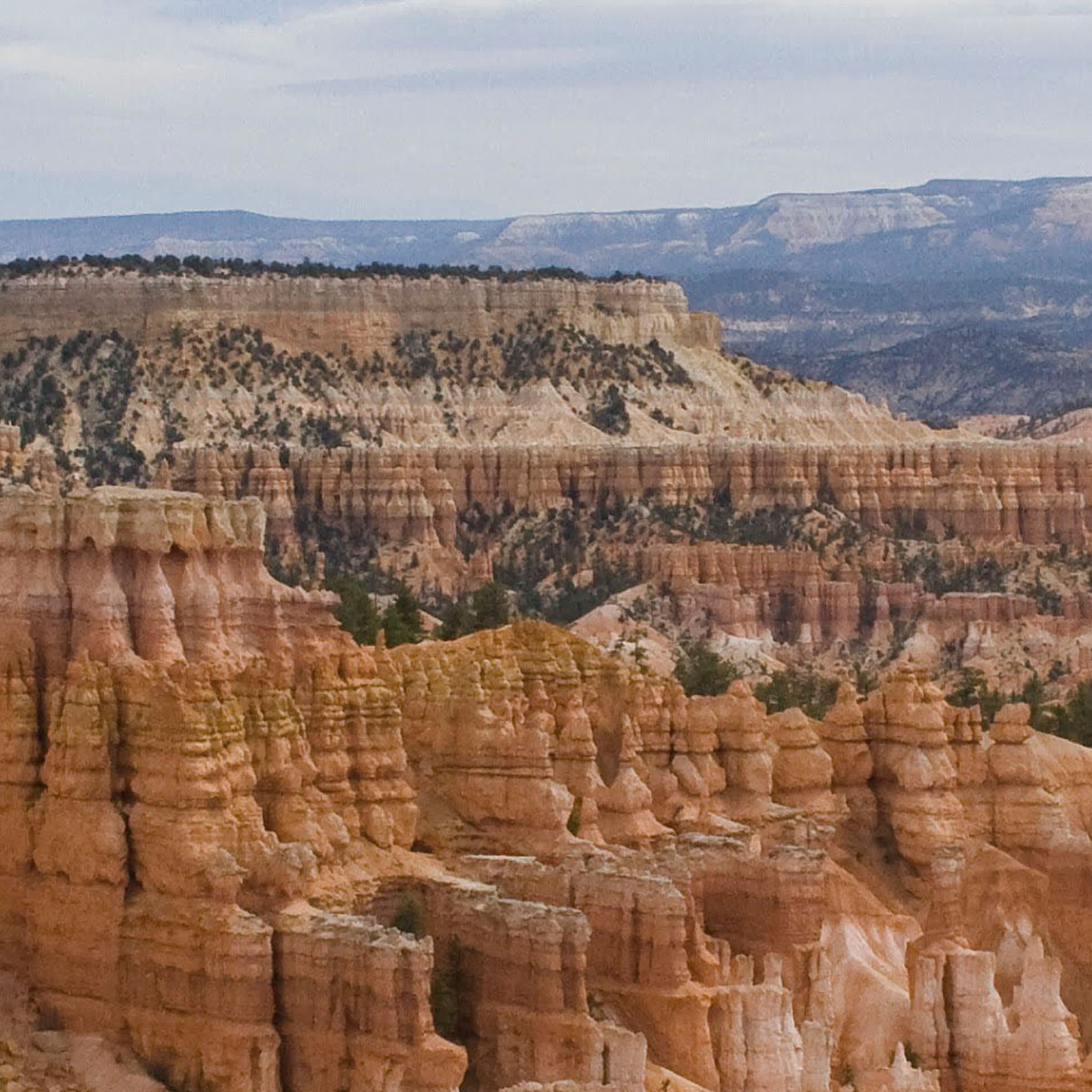 Hoodoos swatch: a photography digital art wallcovering customizable by scale, color, and more.