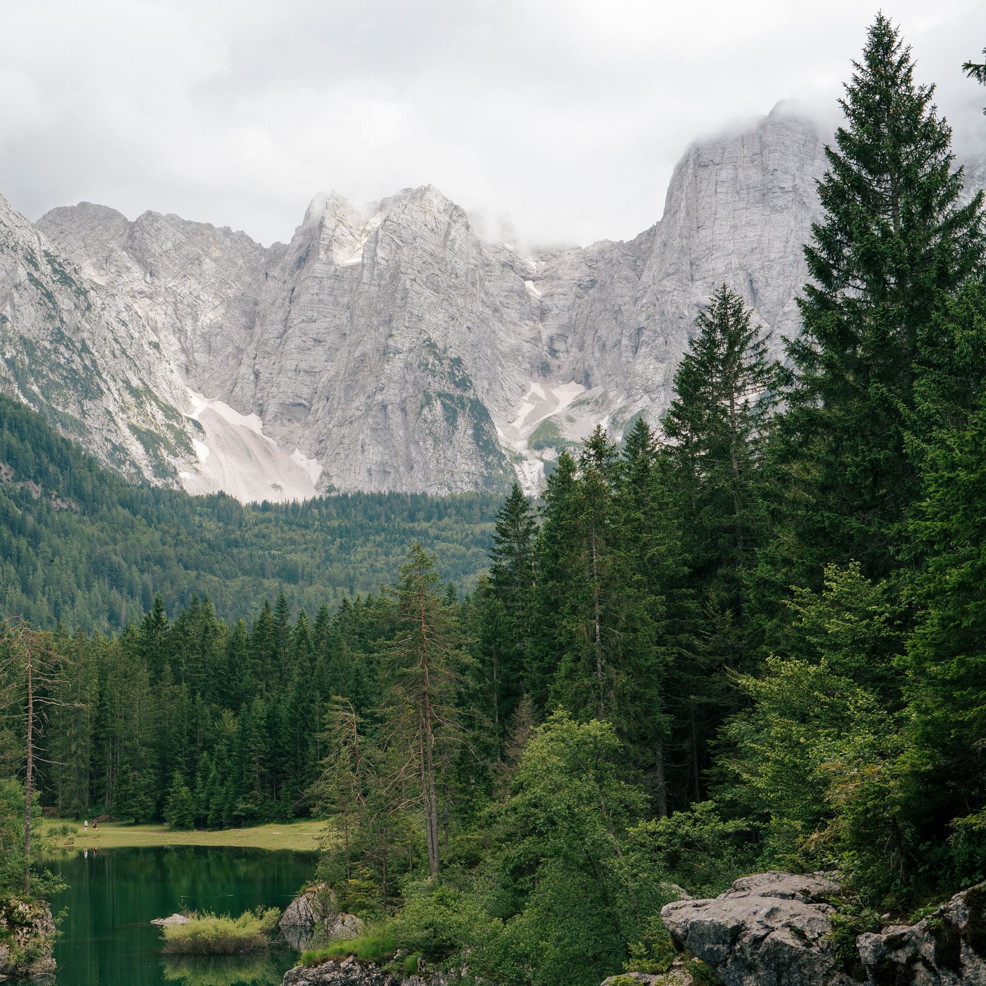 Montani swatch: a photography digital art wallcovering customizable by scale, color, and more.