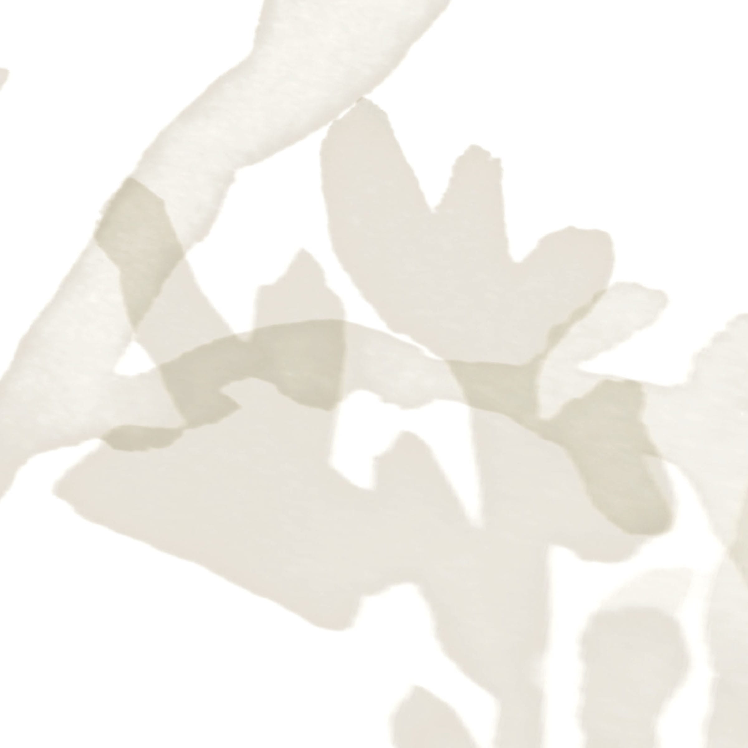 Mystic Reef swatch: a nature-inspired digital art wallcovering customizable by scale, color, and more.