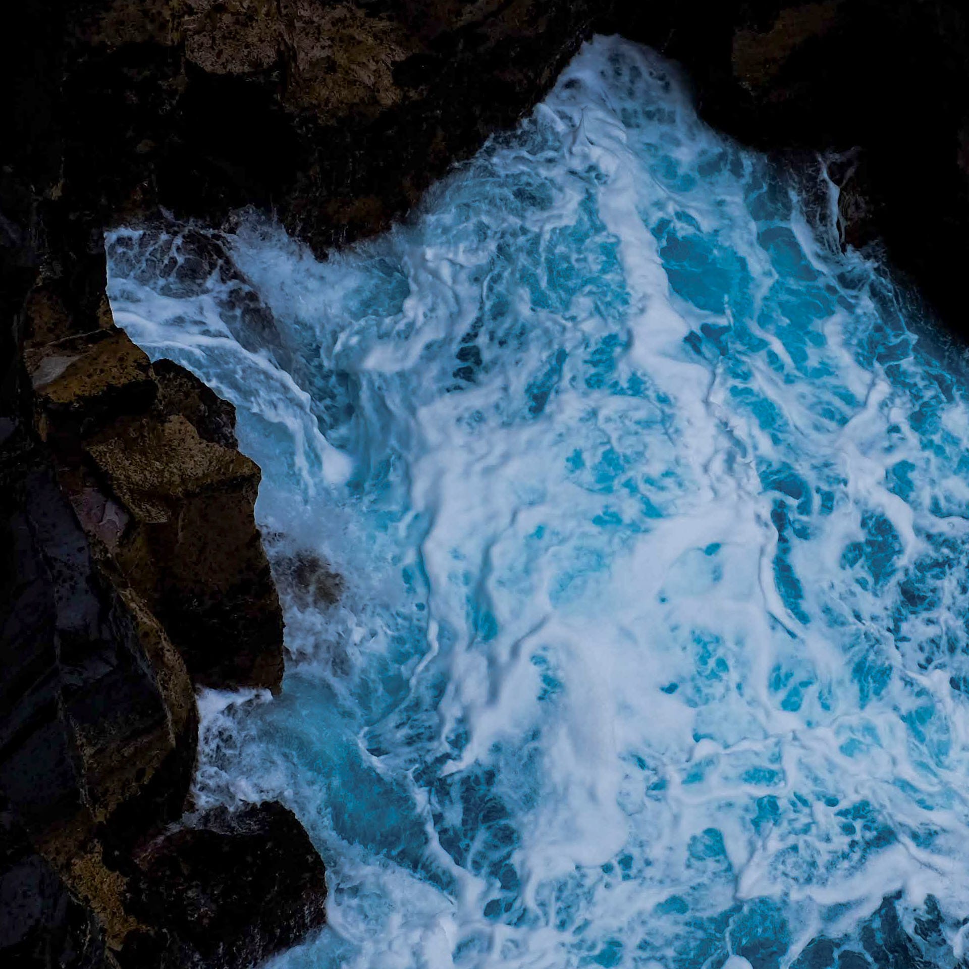 Rush swatch: a photography digital art wallcovering customizable by scale, color, and more.