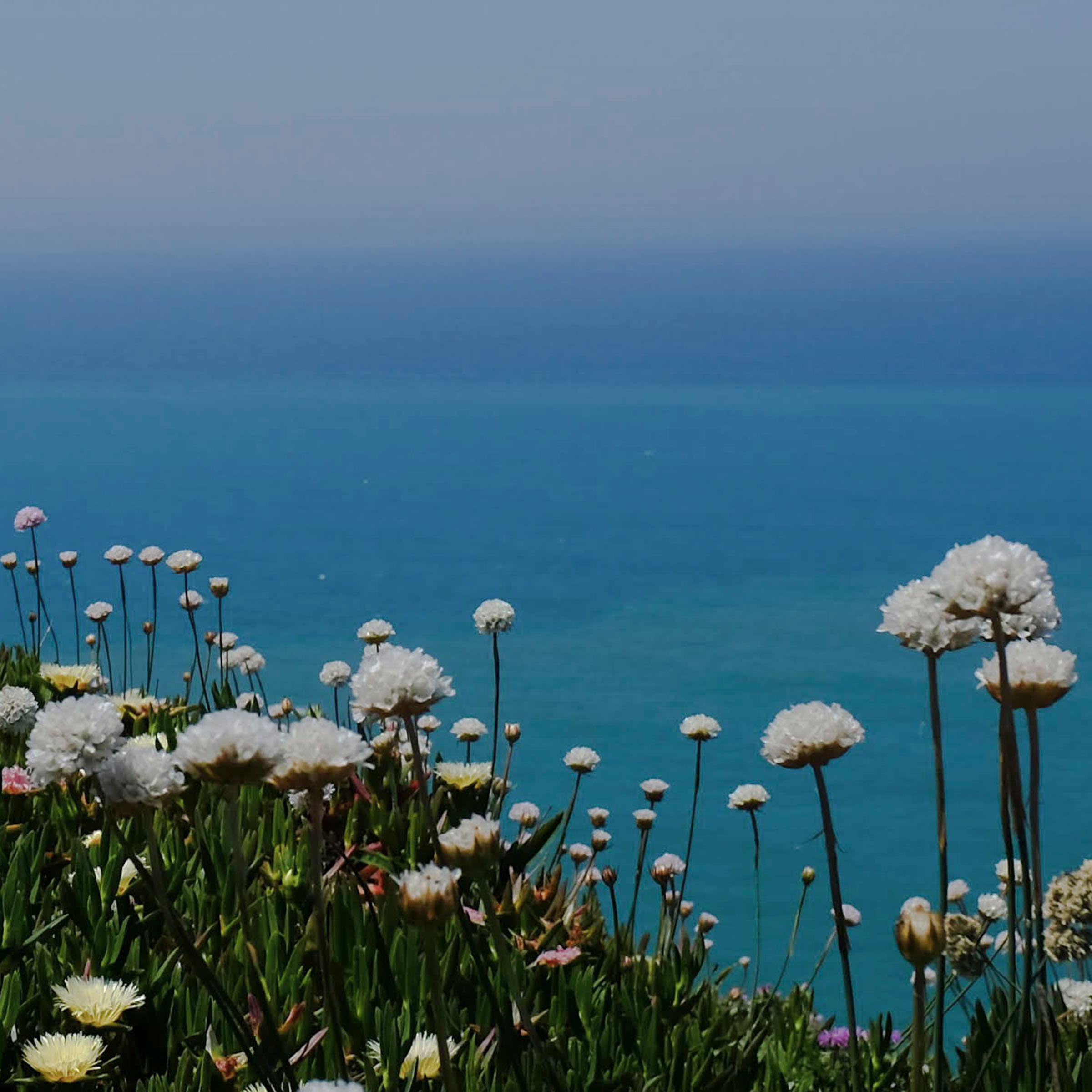 Sintra swatch: a photography digital art wallcovering customizable by scale, color, and more.