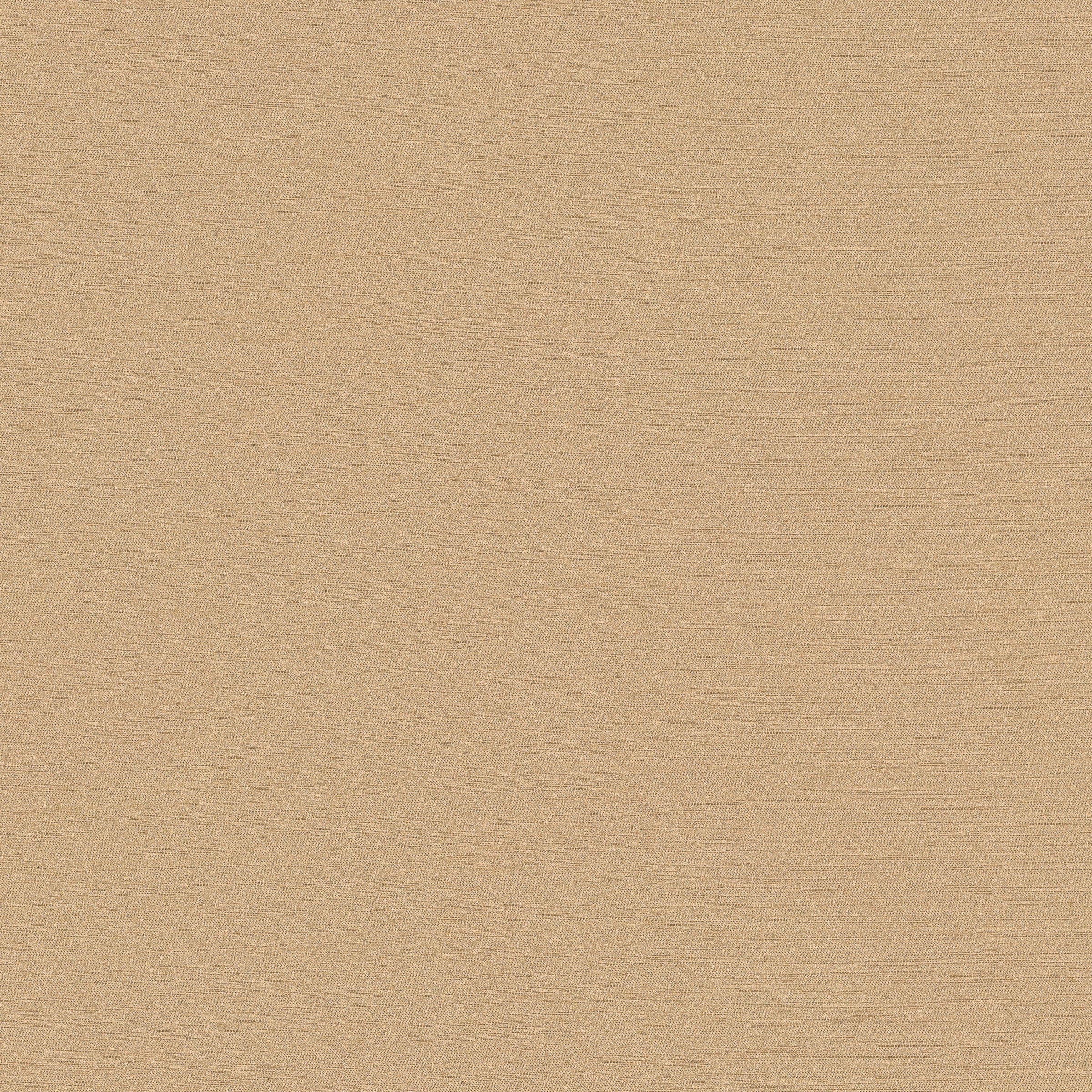 Ayano CV - Antique