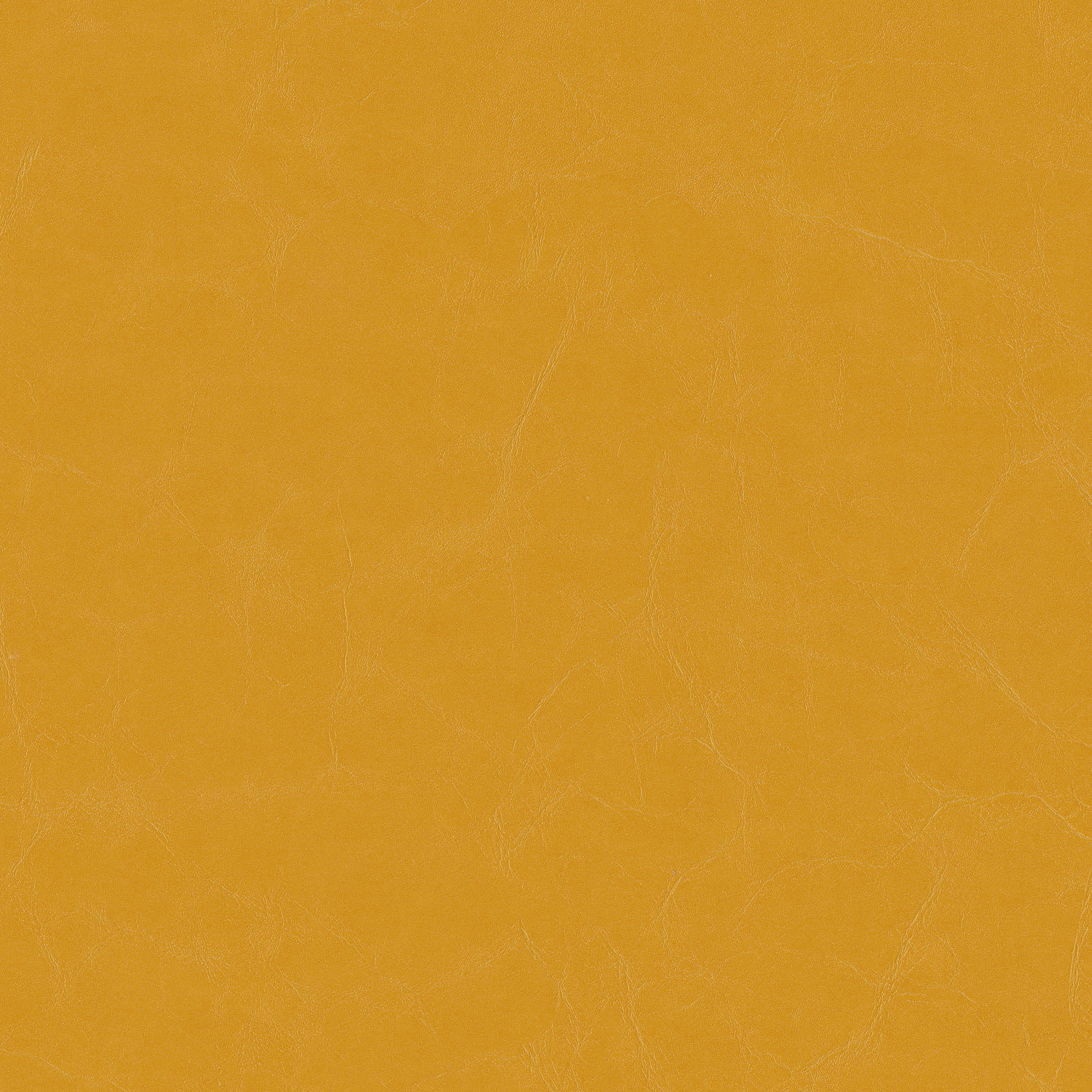 Celebrity CV, a clean vinyl textile