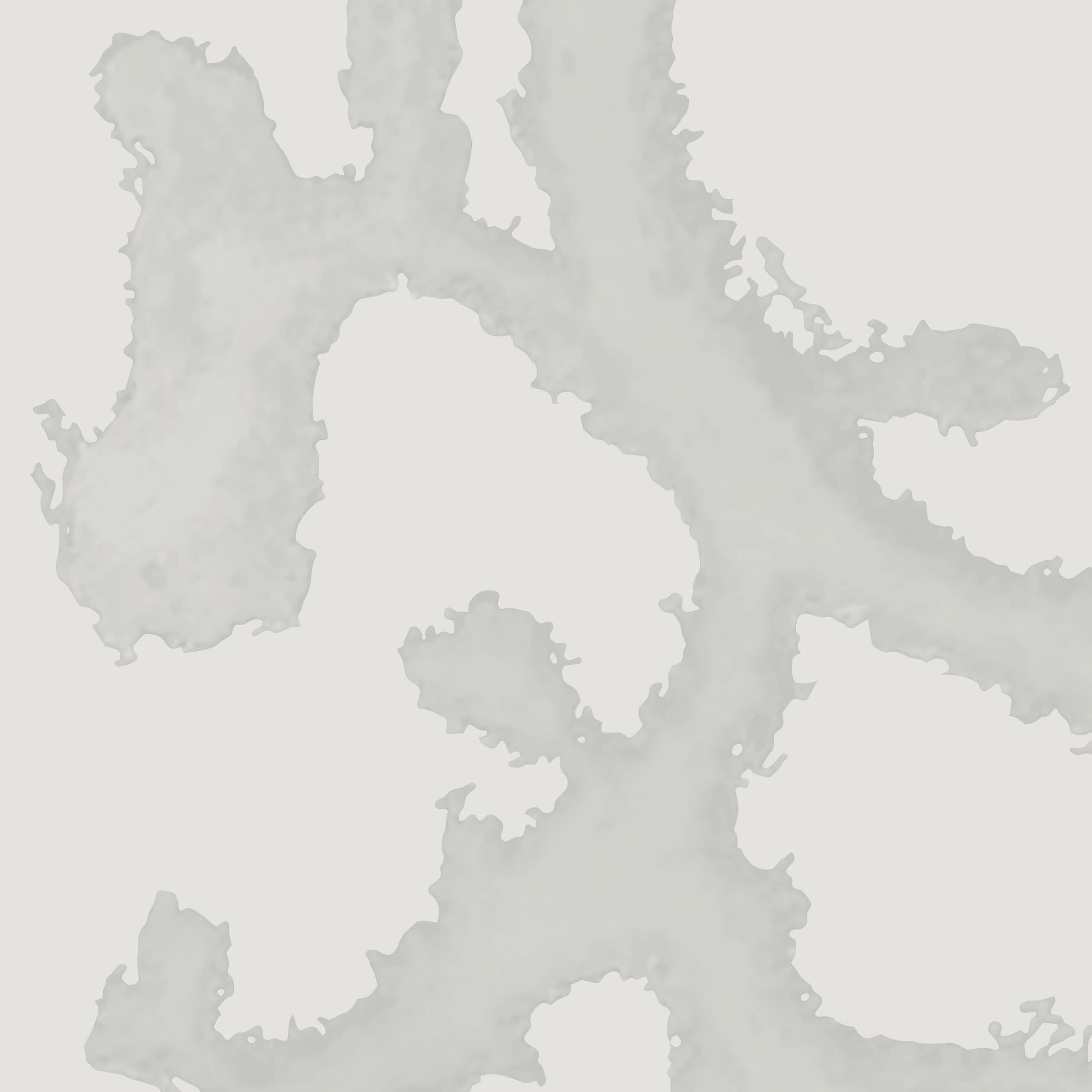 Fractal River, a Type II wallcovering from the Renaturation Collection with 13&9 Design and Fractals Research.